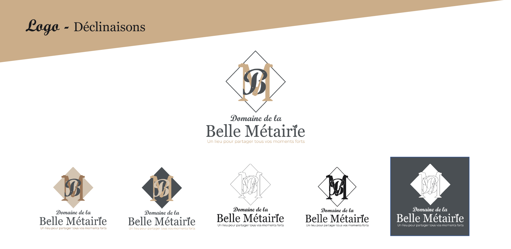 planche de présentation et déclinaisons du logo du Domaine de la Belle Métairie